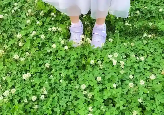 めんめんちゃん工作ちゅう